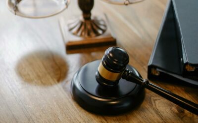 Proposition de loi Lutte contre les fraudes aux aides publiques
